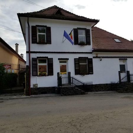 Pensiunea Liana Nemsa Buitenkant foto