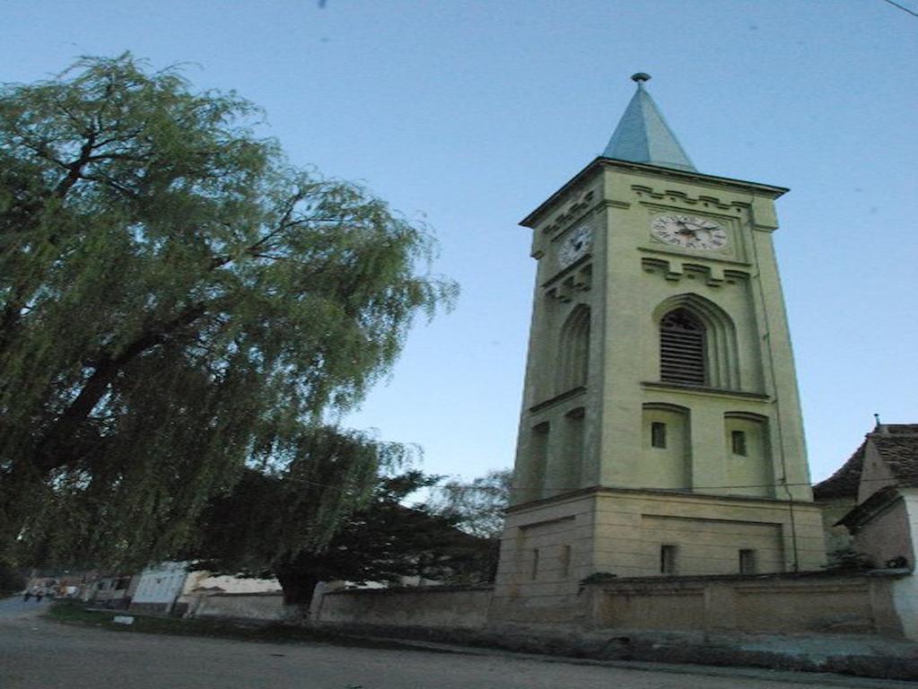 Pensiunea Liana Nemsa Buitenkant foto