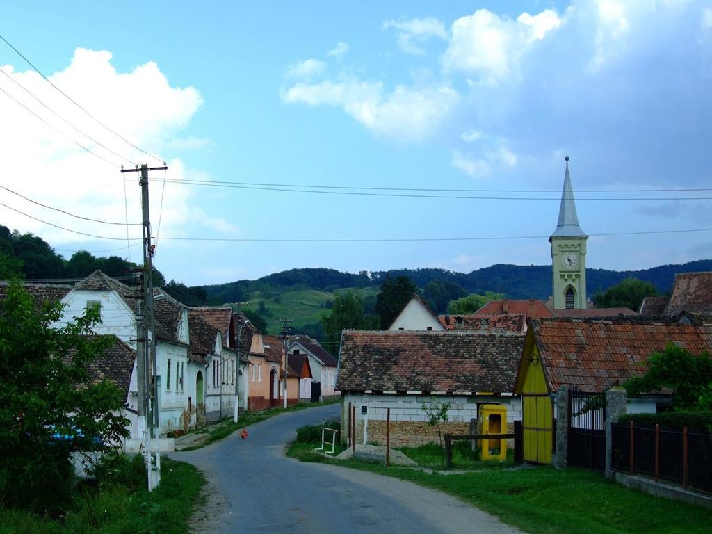 Pensiunea Liana Nemsa Buitenkant foto