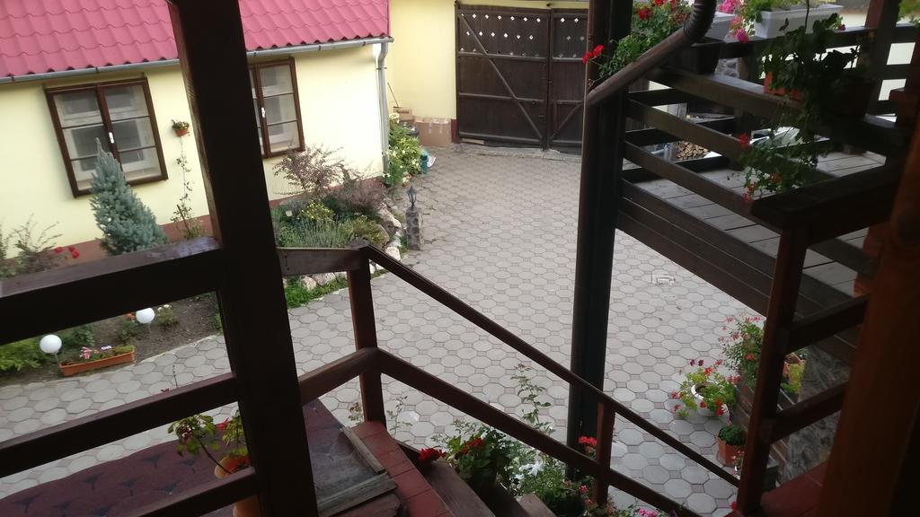 Pensiunea Liana Nemsa Buitenkant foto
