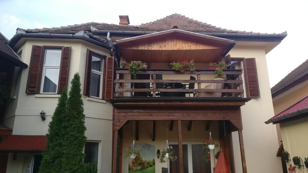Pensiunea Liana Nemsa Buitenkant foto