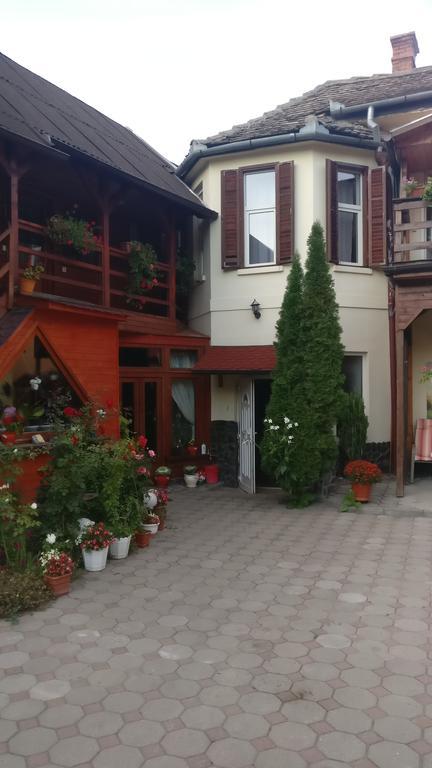 Pensiunea Liana Nemsa Buitenkant foto