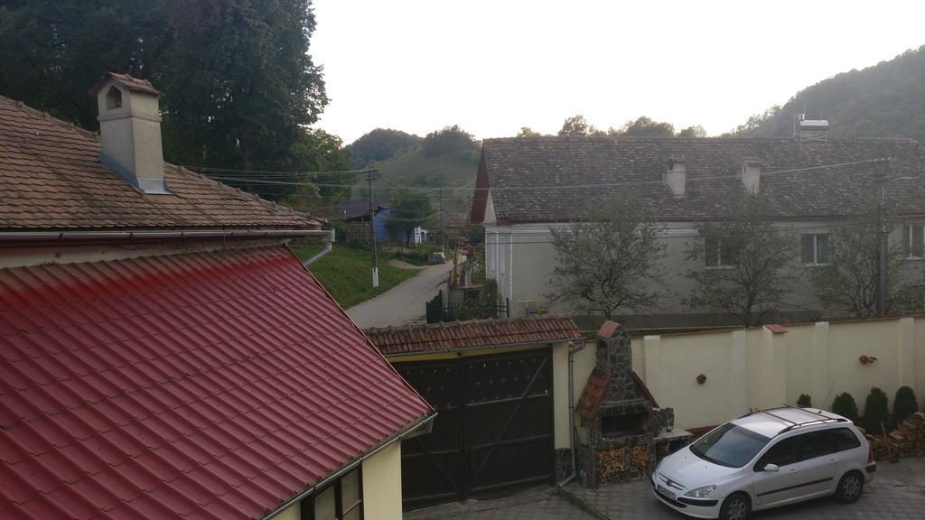 Pensiunea Liana Nemsa Buitenkant foto