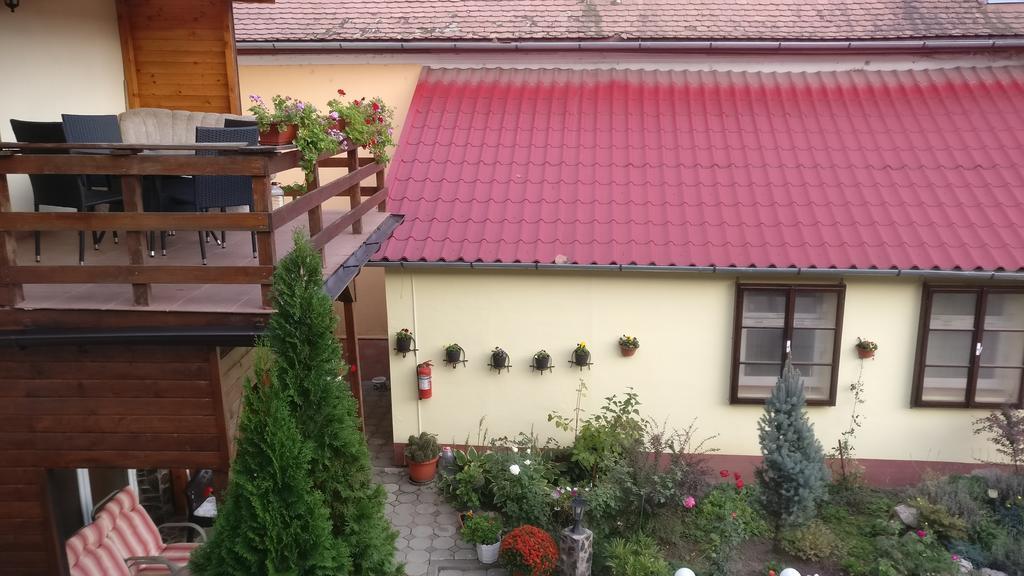 Pensiunea Liana Nemsa Buitenkant foto