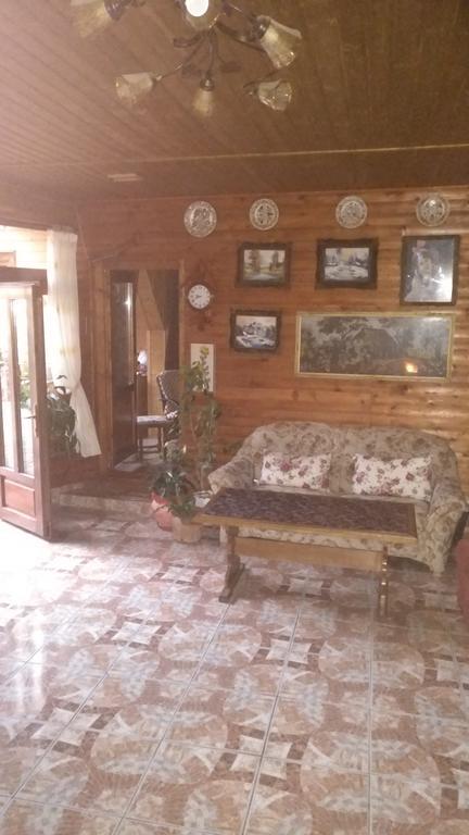 Pensiunea Liana Nemsa Buitenkant foto
