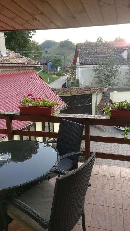 Pensiunea Liana Nemsa Buitenkant foto