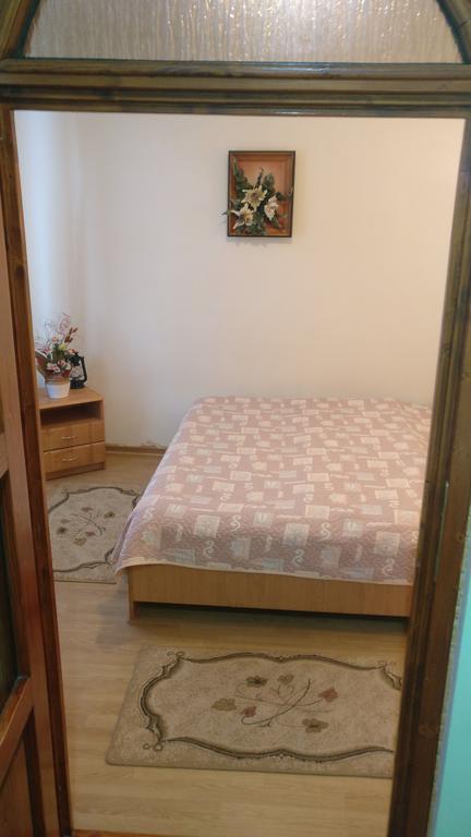 Pensiunea Liana Nemsa Buitenkant foto