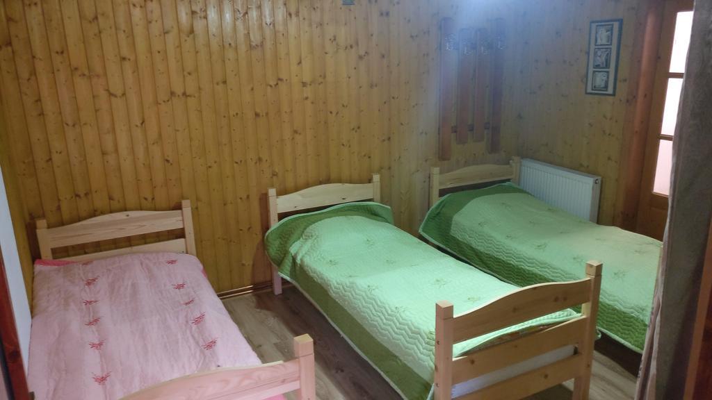 Pensiunea Liana Nemsa Buitenkant foto
