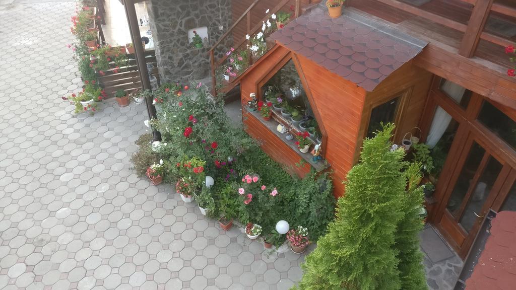 Pensiunea Liana Nemsa Buitenkant foto