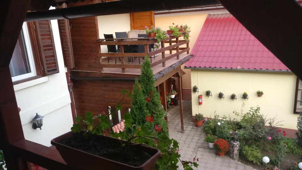 Pensiunea Liana Nemsa Buitenkant foto