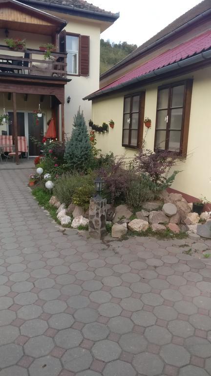 Pensiunea Liana Nemsa Buitenkant foto