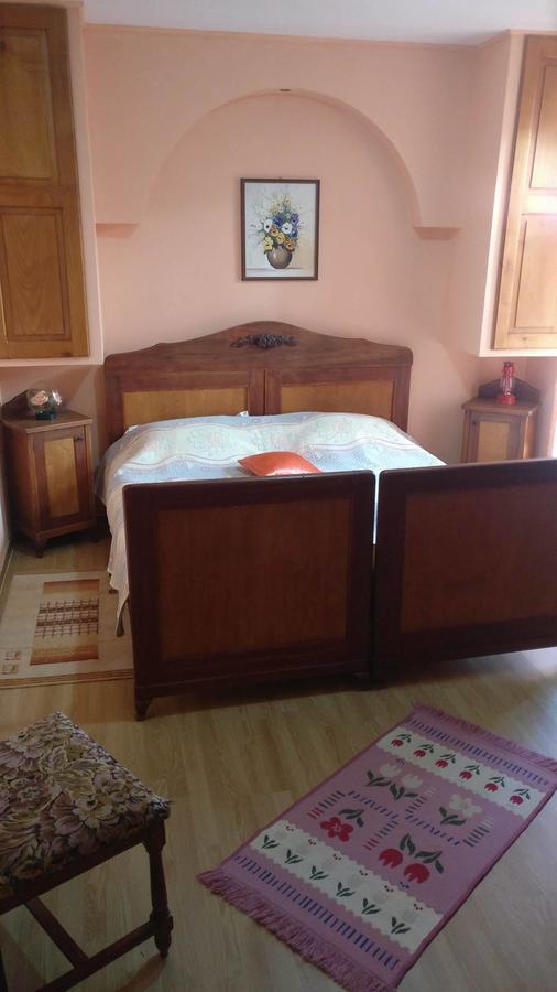 Pensiunea Liana Nemsa Buitenkant foto