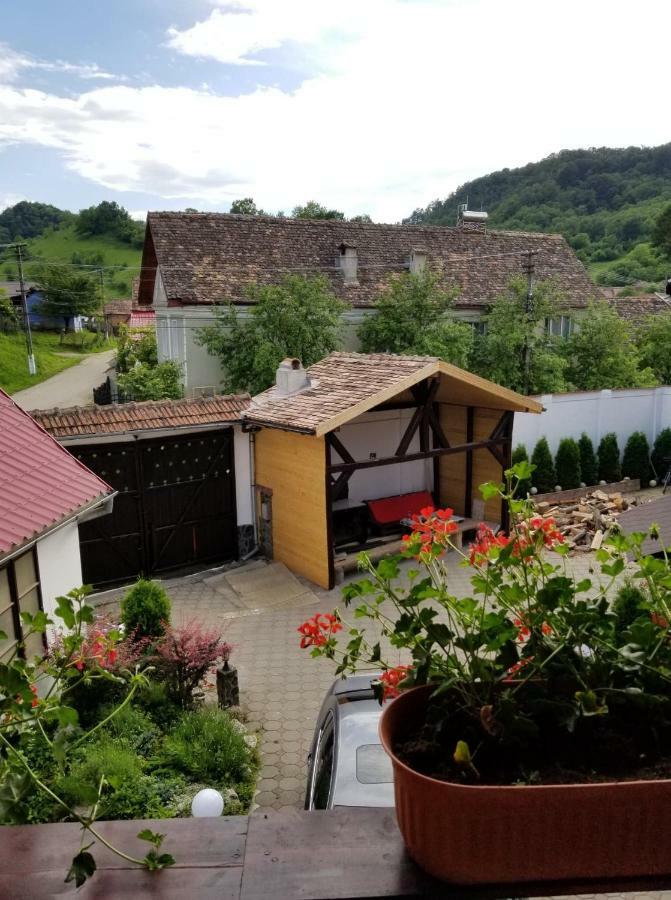 Pensiunea Liana Nemsa Buitenkant foto