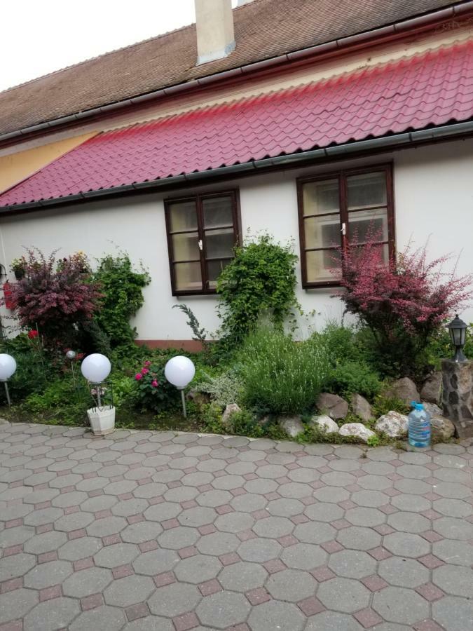 Pensiunea Liana Nemsa Buitenkant foto