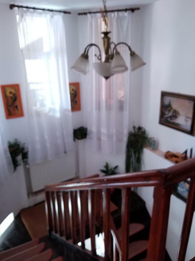 Pensiunea Liana Nemsa Buitenkant foto