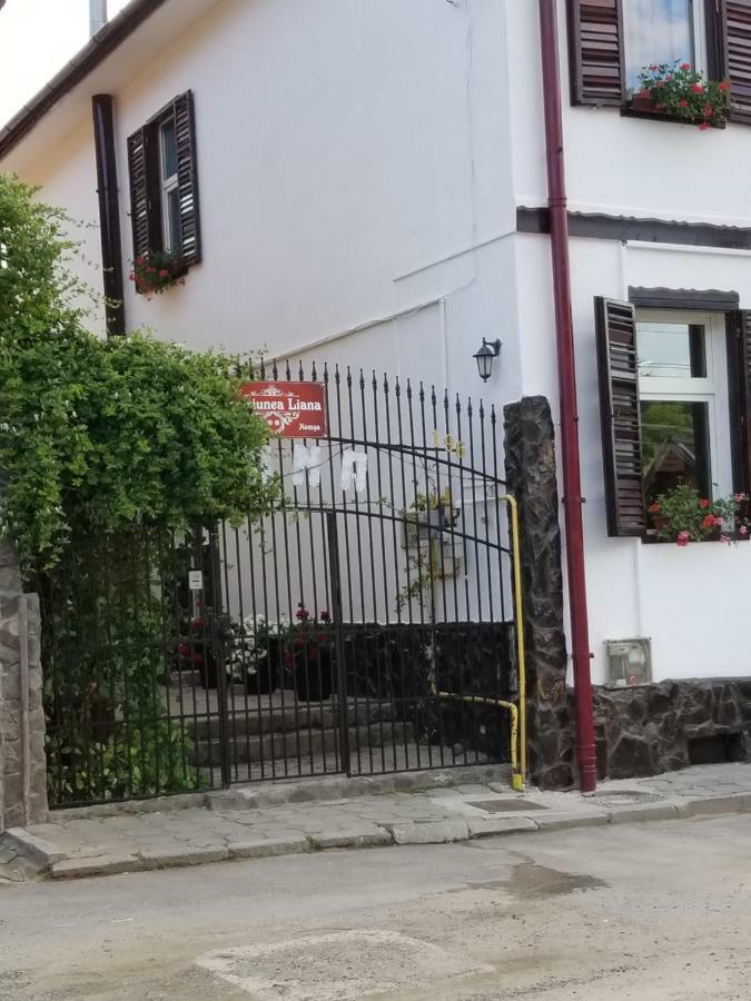 Pensiunea Liana Nemsa Buitenkant foto