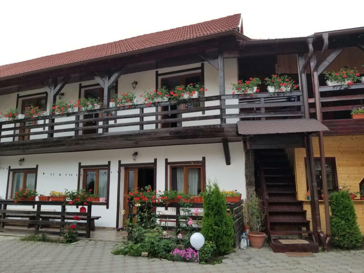 Pensiunea Liana Nemsa Buitenkant foto