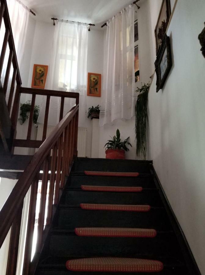 Pensiunea Liana Nemsa Buitenkant foto