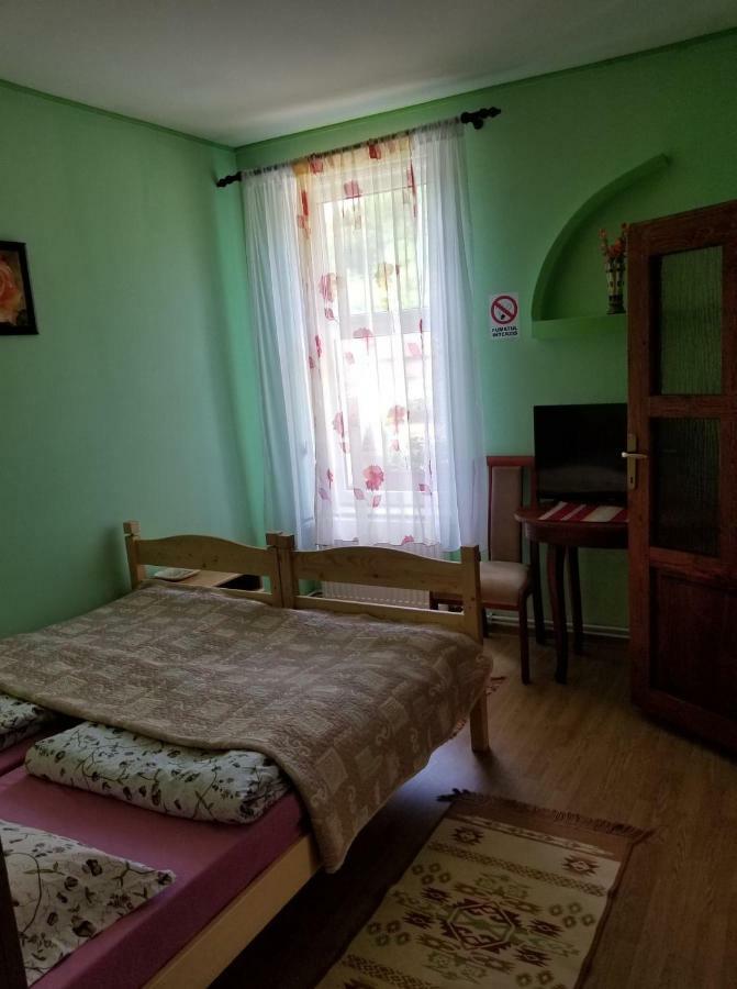 Pensiunea Liana Nemsa Buitenkant foto