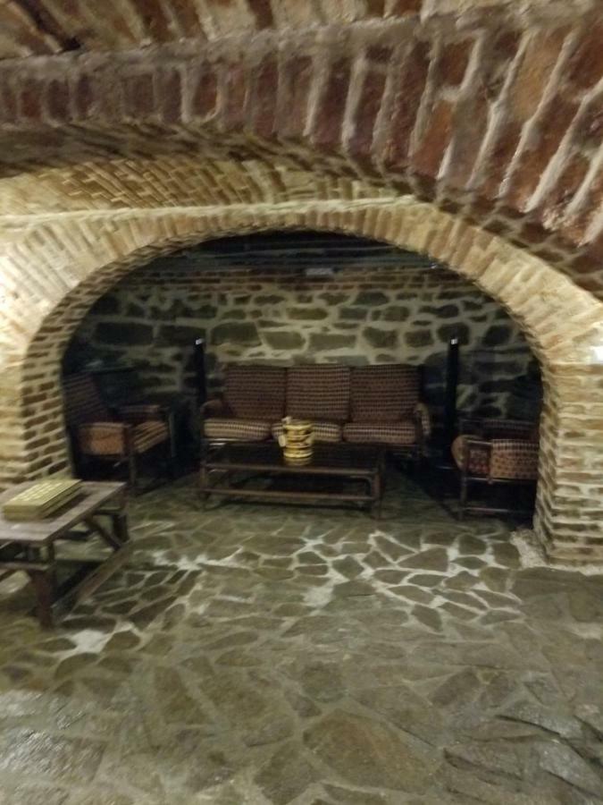 Pensiunea Liana Nemsa Buitenkant foto