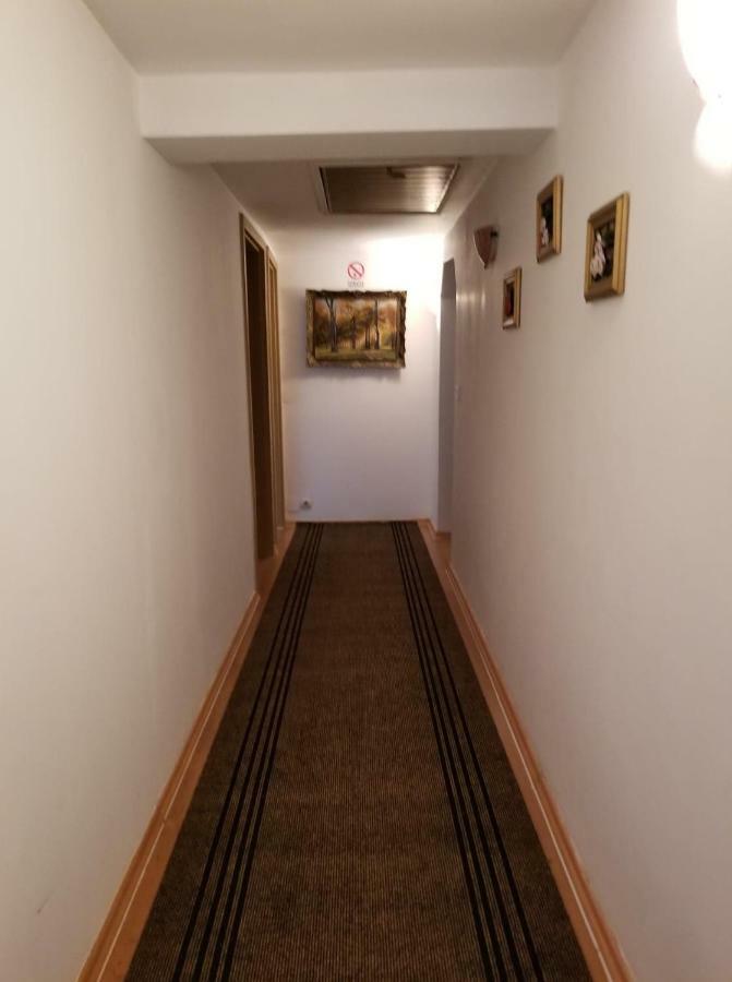 Pensiunea Liana Nemsa Buitenkant foto