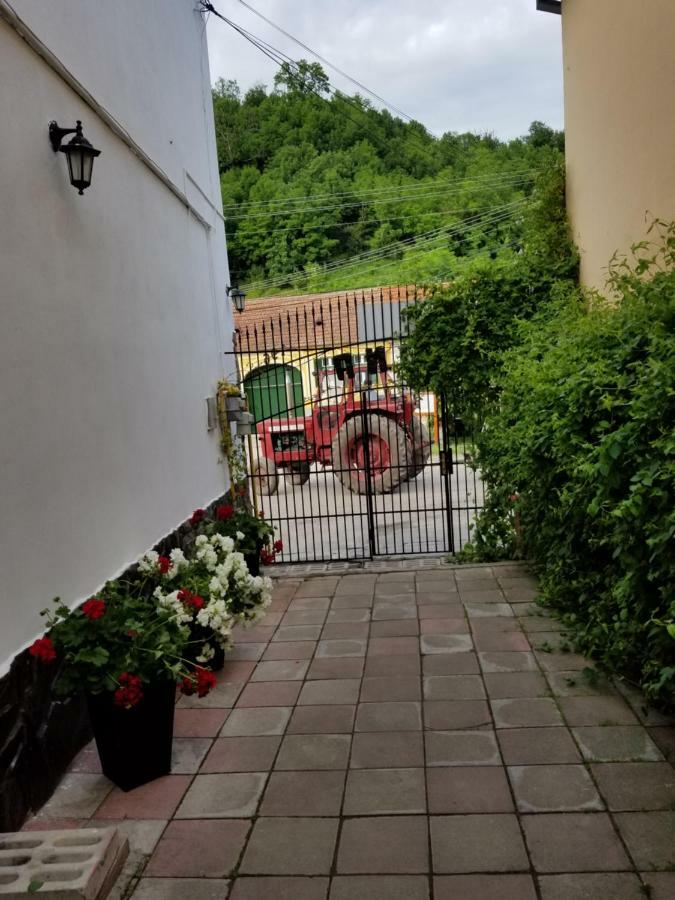 Pensiunea Liana Nemsa Buitenkant foto